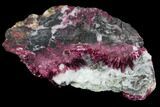 Vibrant, Magenta Erythrite Crystals - Morocco #93594-2